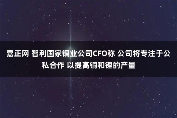 嘉正网 智利国家铜业公司CFO称 公司将专注于公私合作 以提高铜和锂的产量