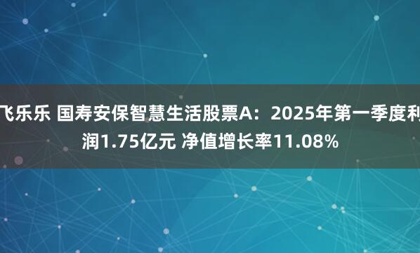 飞乐乐 国寿安保智慧生活股票A：2025年第一季度利润1.75亿元 净值增长率11.08%