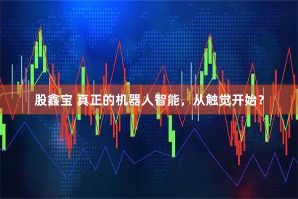 股鑫宝 真正的机器人智能，从触觉开始？